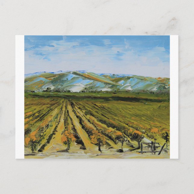 Carte Postale Couleurs de Napa Valley, Pays des Vins Californie (Devant)
