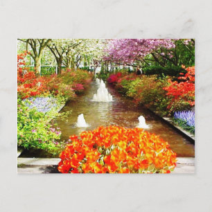 Carte postale Couleurs de vie