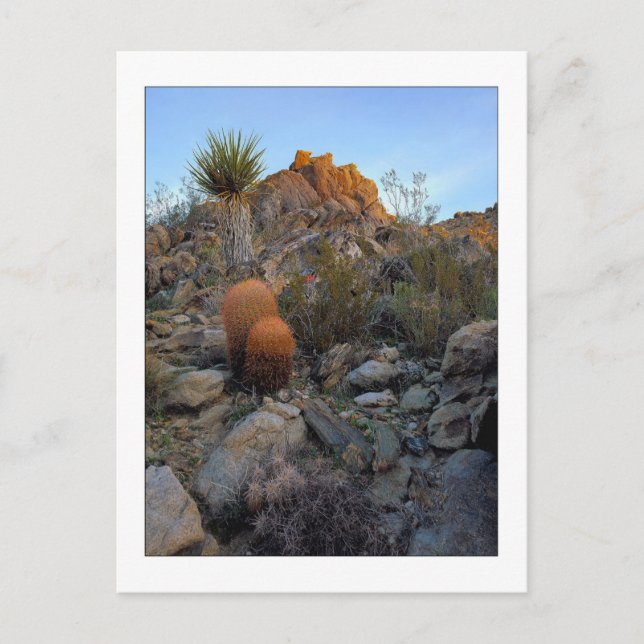 Carte Postale "Couleurs d'itinéraire de Ridge " (Devant)