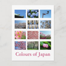 Couleurs du Japon (bleu/blanc/rose)
