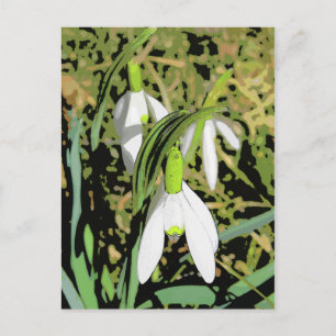 Carte Postale Couleurs du printemps