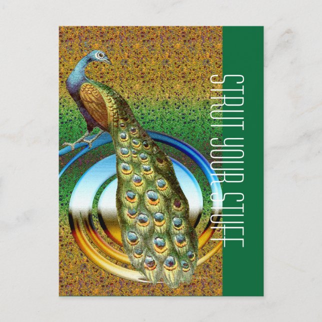 Carte Postale Couleurs d'un paon (Devant)