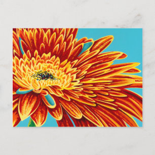 Carte Postale Couleurs éclatées I