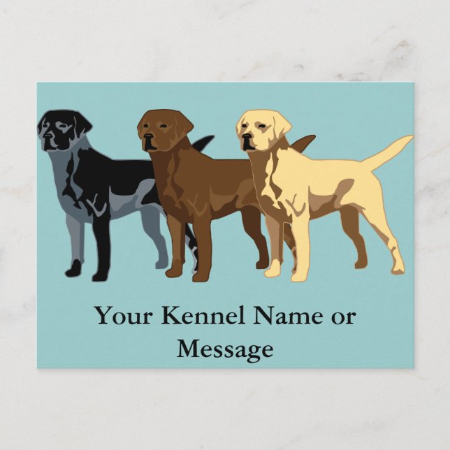 Carte Postale Couleurs Labrador Retriever (Devant)