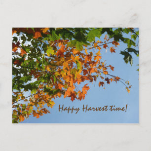 Carte Postale Couleurs septembre