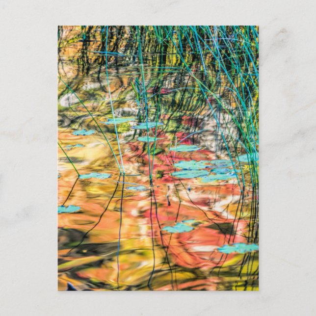 Carte Postale Council Lake in Hiawatha National Forest, Michigan (Devant)