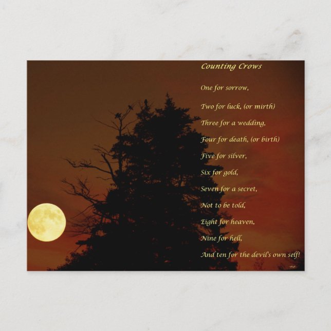Carte Postale Counting Crows (Devant)