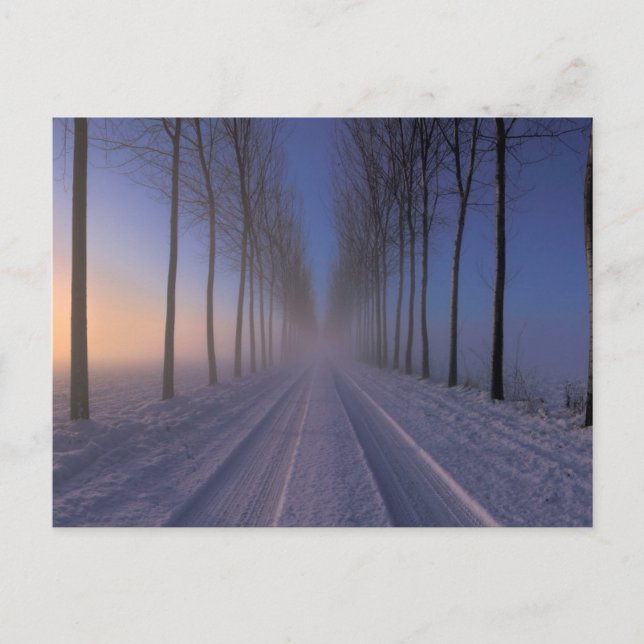 Carte Postale Countryside Nearby Castagnole | Piedmont Italy (Devant)