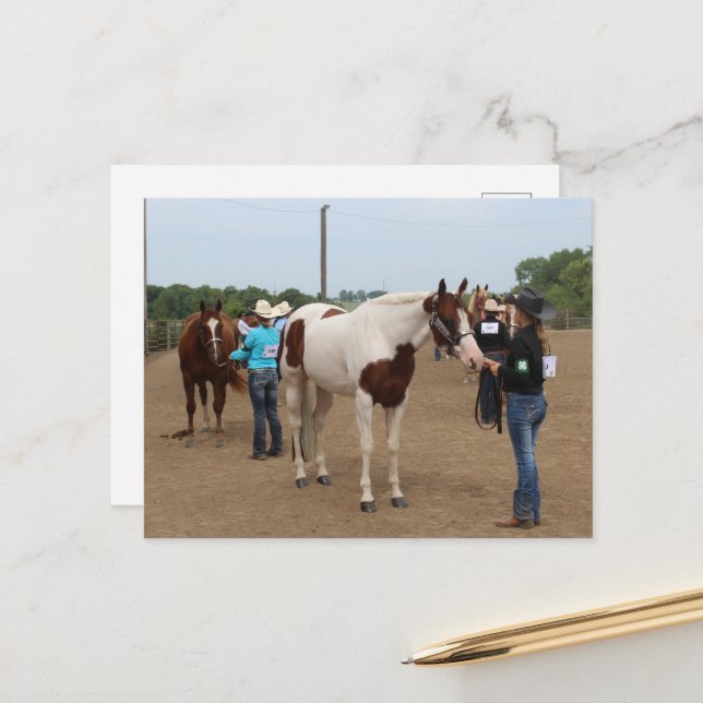Carte Postale County Fair Showmanship Paints and Quarter Horses (Devant/Arrière en situation)