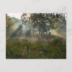 Carte Postale coup de soleil 07