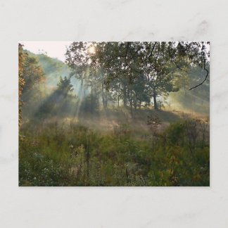 Carte Postale coup de soleil 07