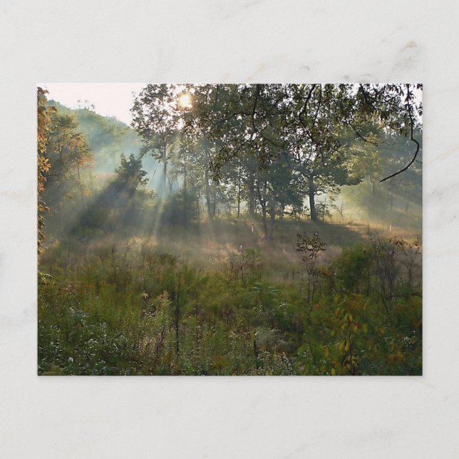 Carte Postale coup de soleil 07 (Devant)