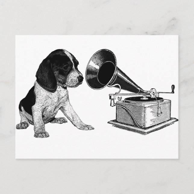 Carte Postale Coupe beagle avec Gramophone (Devant)
