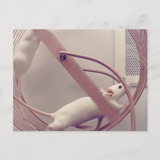 Carte Postale Coupe de roue (Devant)