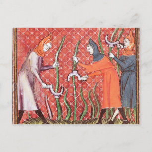 Carte Postale Couper les arbres, de Ovide Moralize