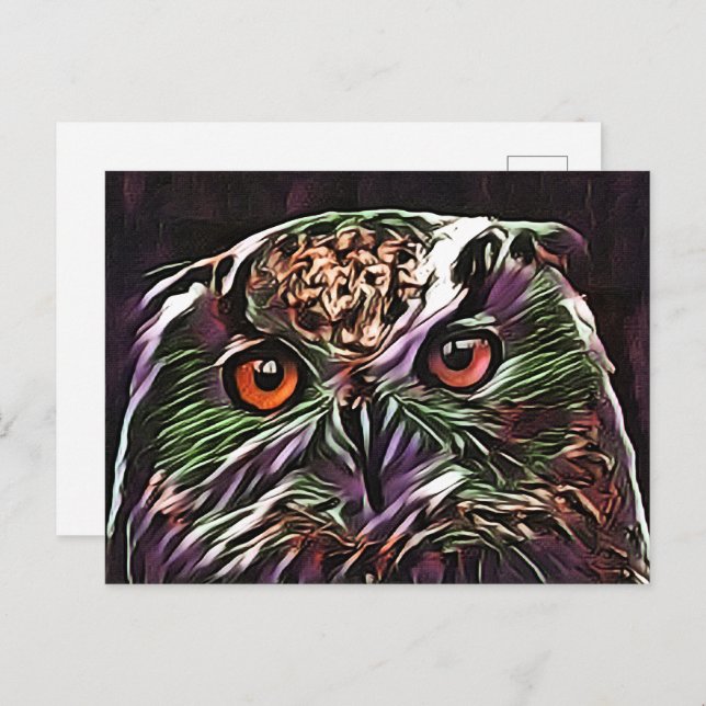 CARTE POSTALE COUPER OWL (Devant / Derrière)