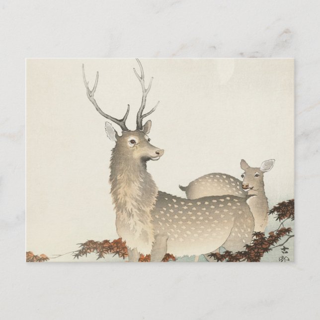 Carte Postale Couple de cerfs Vintage (Devant)