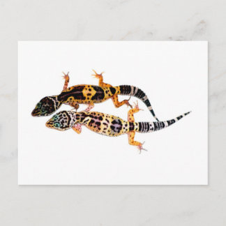 Carte Postale Couple de Leopardgecko