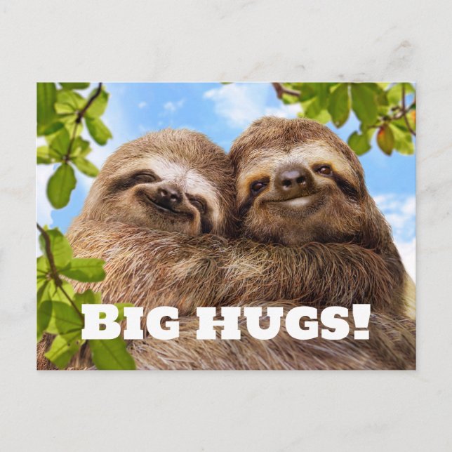 Carte Postale Couple de paresseux (Devant)