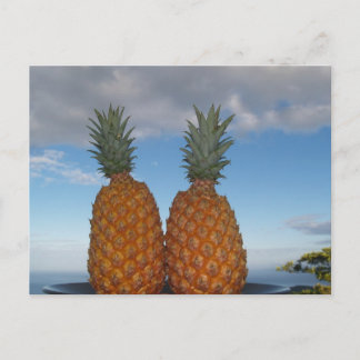 Carte Postale Couple tropical