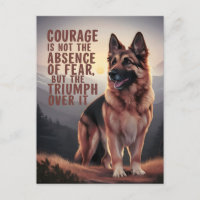 Courage berger allemand au coucher du soleil