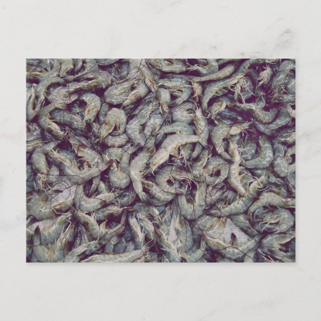 Carte Postale Courbes gris (Devant)