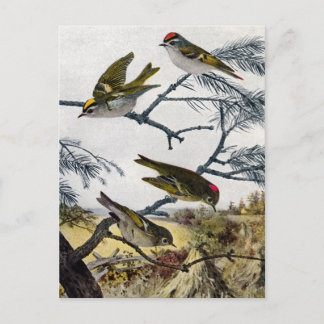 Carte Postale Couronnes d'or et de rubis