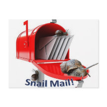 Carte postale courrier escargot