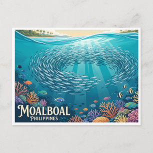 Carte Postale Course aux sardines de Moalboal Philippines