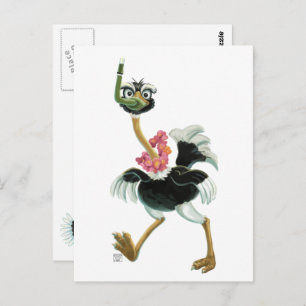 Carte Postale Course d'autruche dans le marais