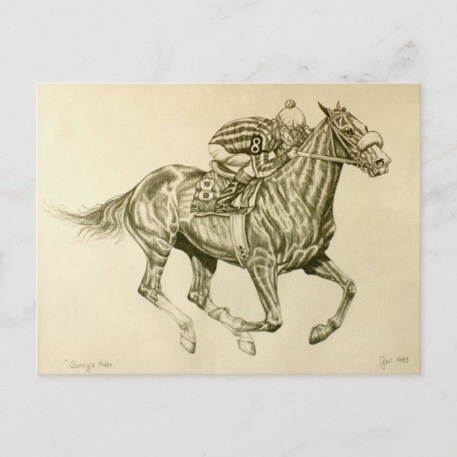 Carte postale Course de cheval (Devant)
