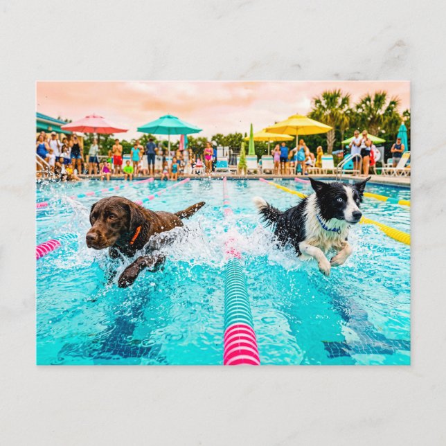 Carte Postale Course de natation pour chiens (Devant)