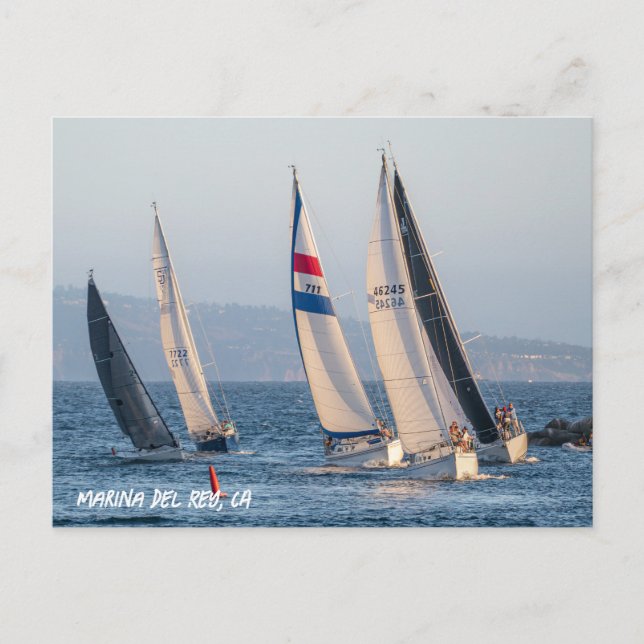 Carte Postale Course de yacht - Marina Del Rey, CA (Devant)