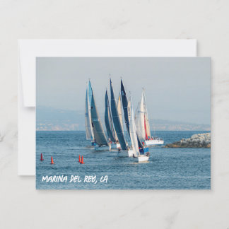 Carte Postale Course de yacht - Marina Del Rey, CA