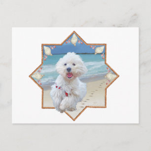 Carte Postale Course sur la plage