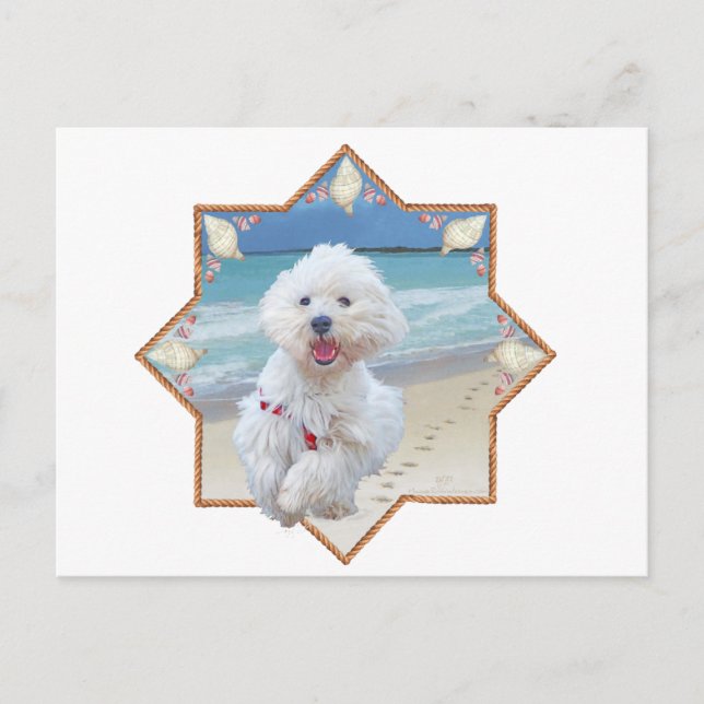 Carte Postale Course sur la plage (Devant)