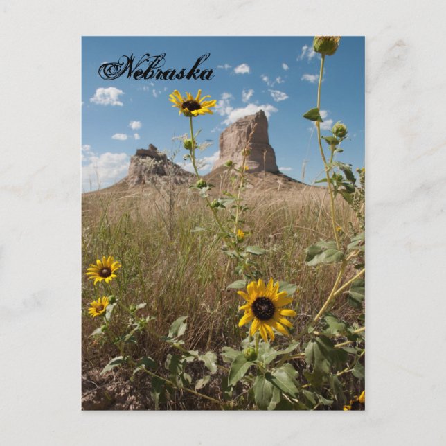 Carte Postale Courthouse et Jail Rock, Nebraska Postcard (Devant)
