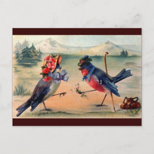 Carte Postale Courtship of Birds