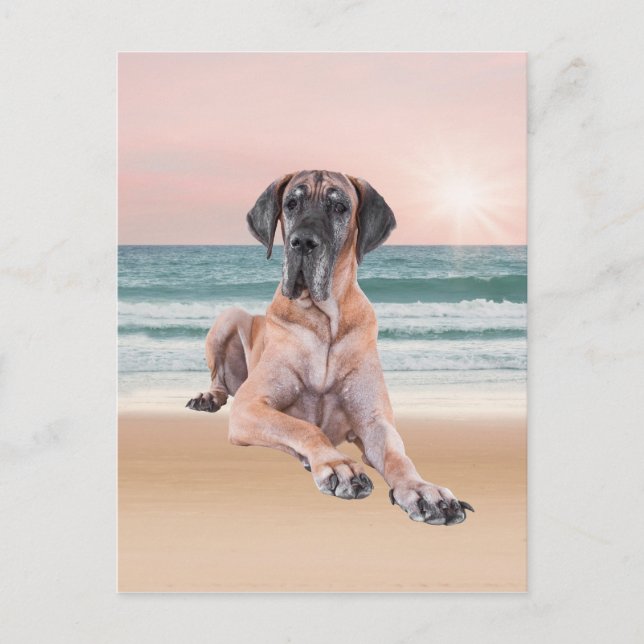 Carte Postale Coutume Grand Chien Danse assis sur la plage (Devant)