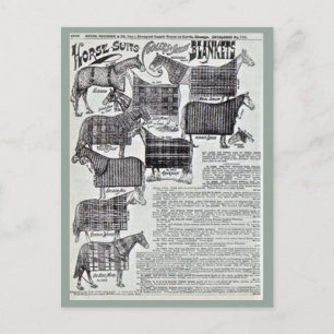 Carte Postale Couvertures pour chevaux