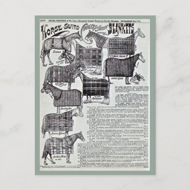 Carte Postale Couvertures pour chevaux (Devant)