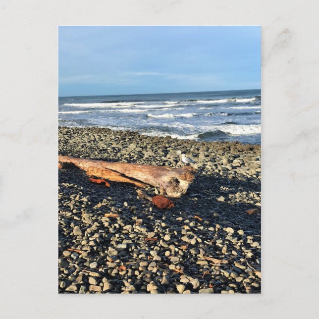 Carte Postale Cove at Seaside, Oregon (Devant)