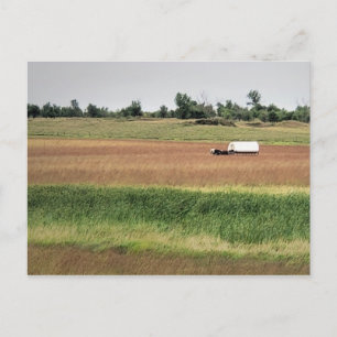 Carte Postale Covered Wagon at Laura Ingalls Wilder Homestead