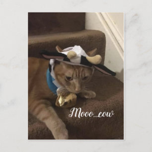 Carte Postale Cow Lancelot