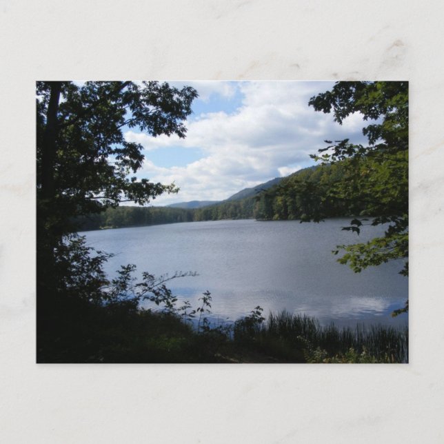 Carte Postale cowans gap state park pennsylvania lake tree (Devant)