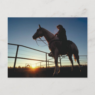 Carte postale Cowboy
