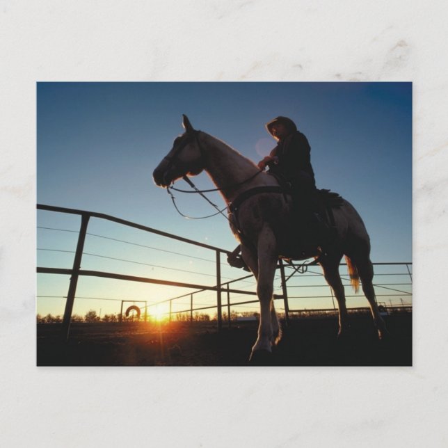 Carte postale Cowboy (Devant)