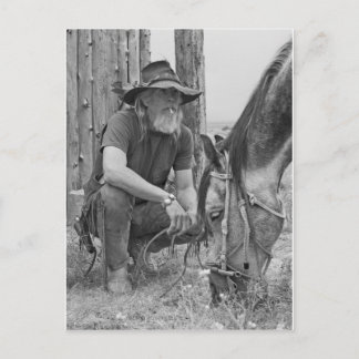 Carte Postale Cowboy