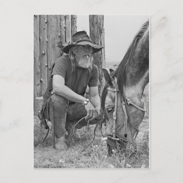 Carte Postale Cowboy (Devant)