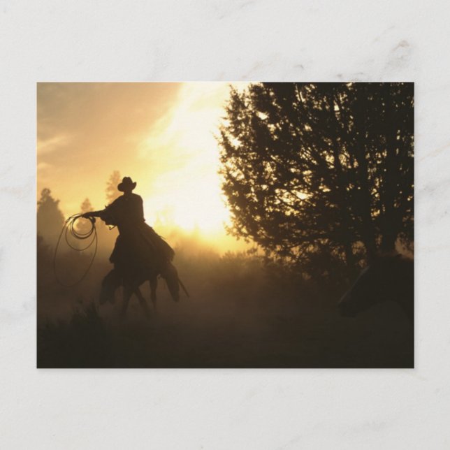Carte Postale Cowboy avec Lasso au coucher du soleil (Devant)
